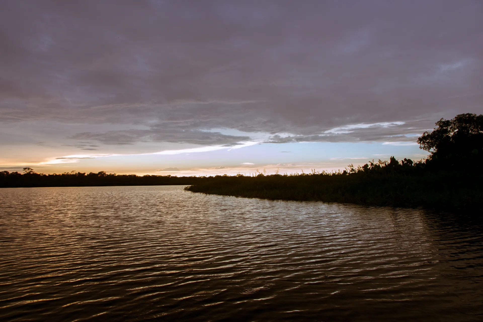 Guaviare, el botín de guerra de las disidencias en la Amazonía colombiana