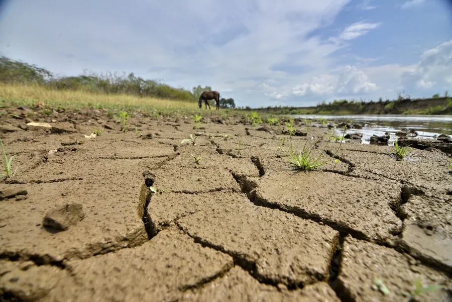 Ola de calor en Francia deja más de 90 muertos