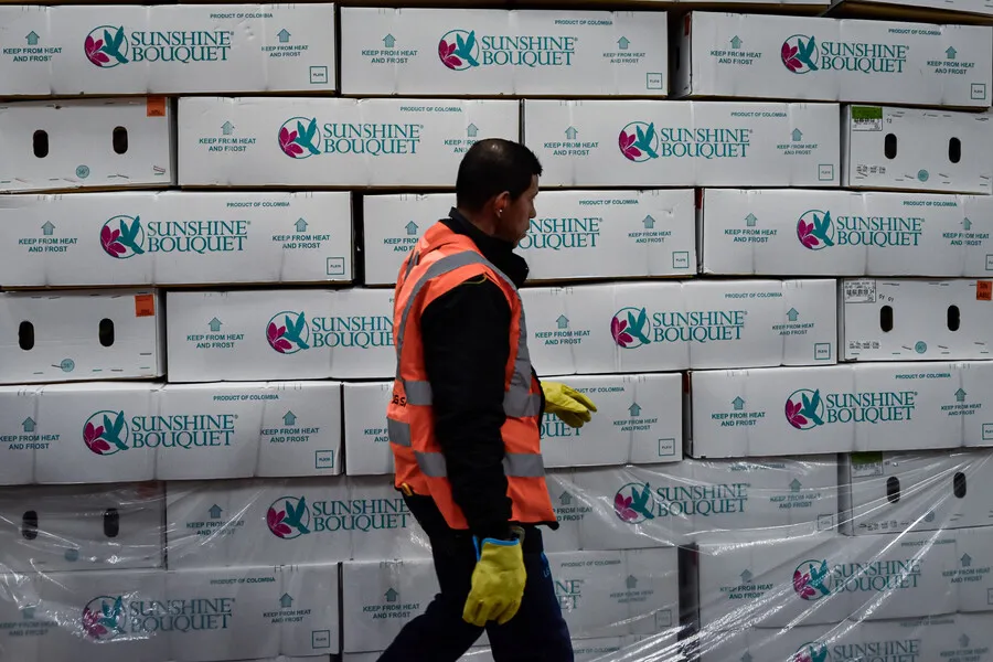 La paradoja del peso fuerte que pone en jaque al campo