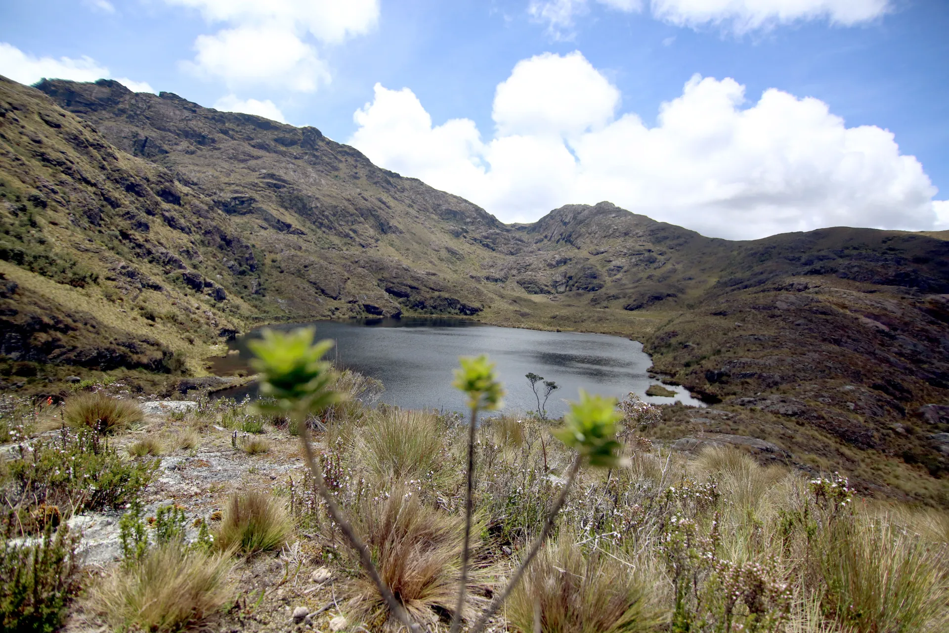 A tres semanas de dejar el poder, Petro cambia las reglas para delimitar Santurbán