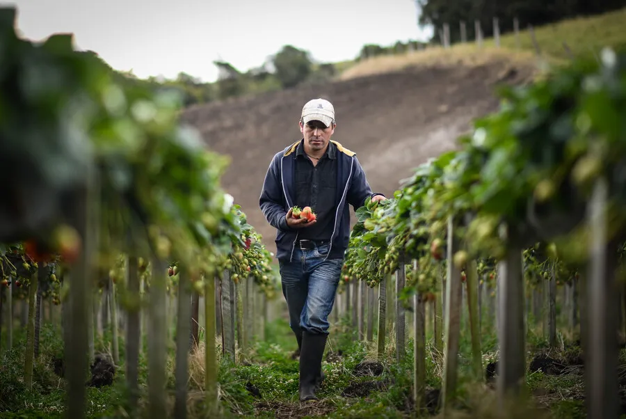 El crédito rural cambia de rumbo y deja rezagados a pequeños productores 