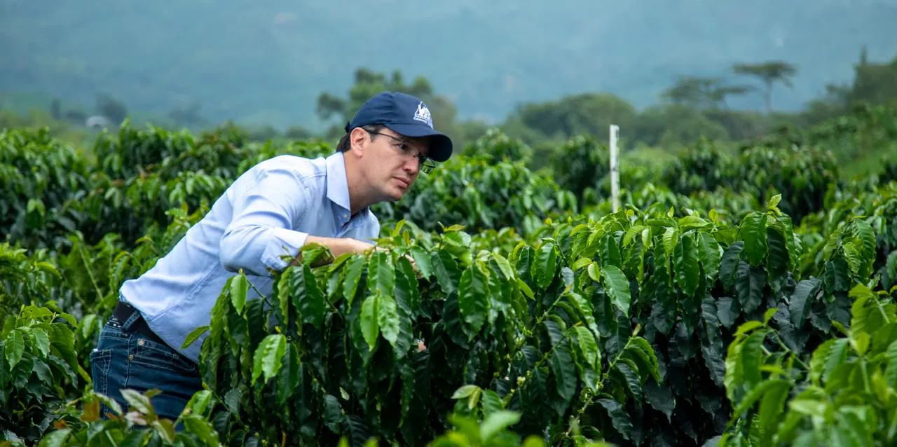 El sismo pone a prueba la ruta del café colombiano