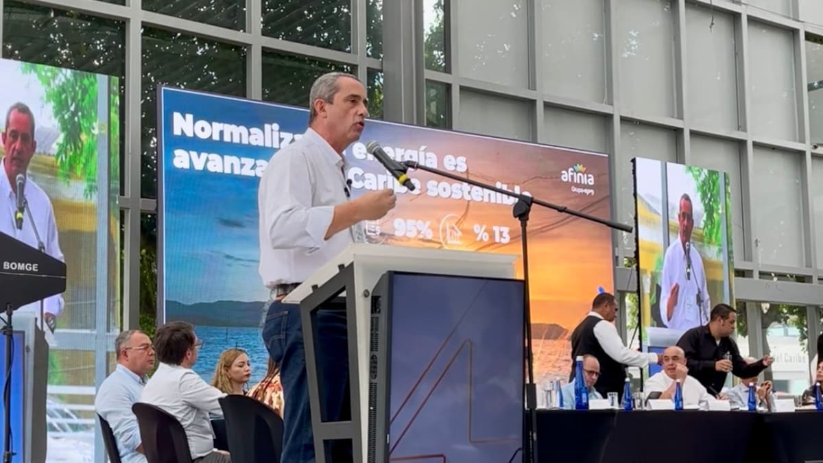 Afinia necesita $800.000 millones para cerrar el año, según su gerente