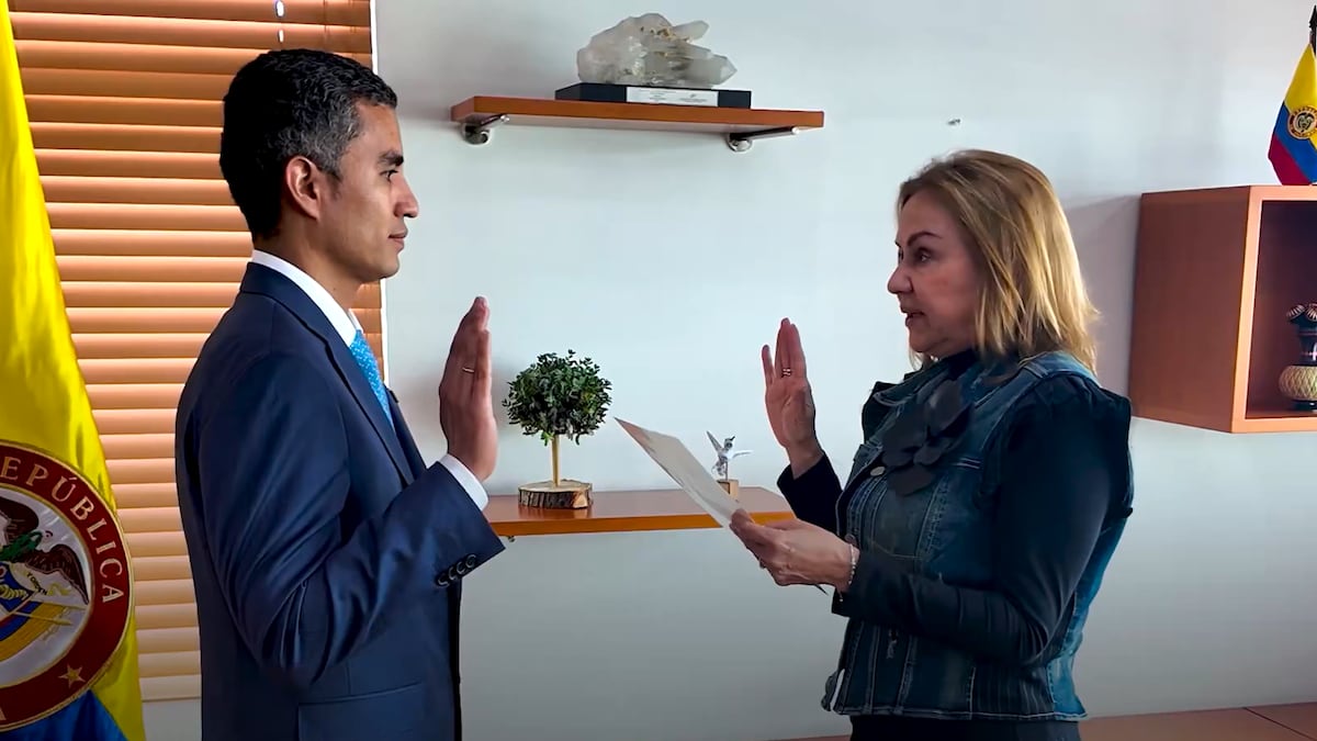 Alex Cañas Rengifo asume como viceministro de Energía en Colombia