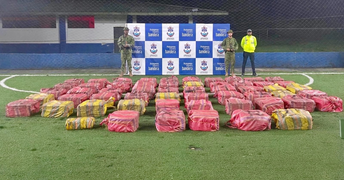 Armada desmantela centro de acopio del Clan del Golfo en Chocó con 1.6
