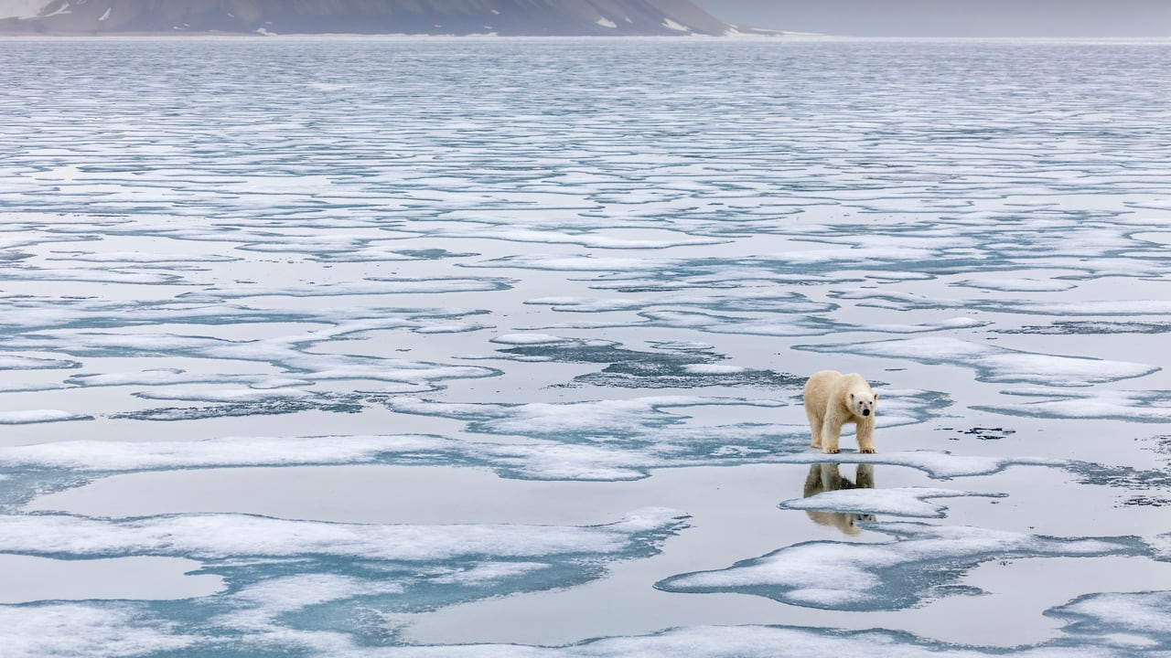 Científicos hallan que el Ártico podría perder más hielo invernal