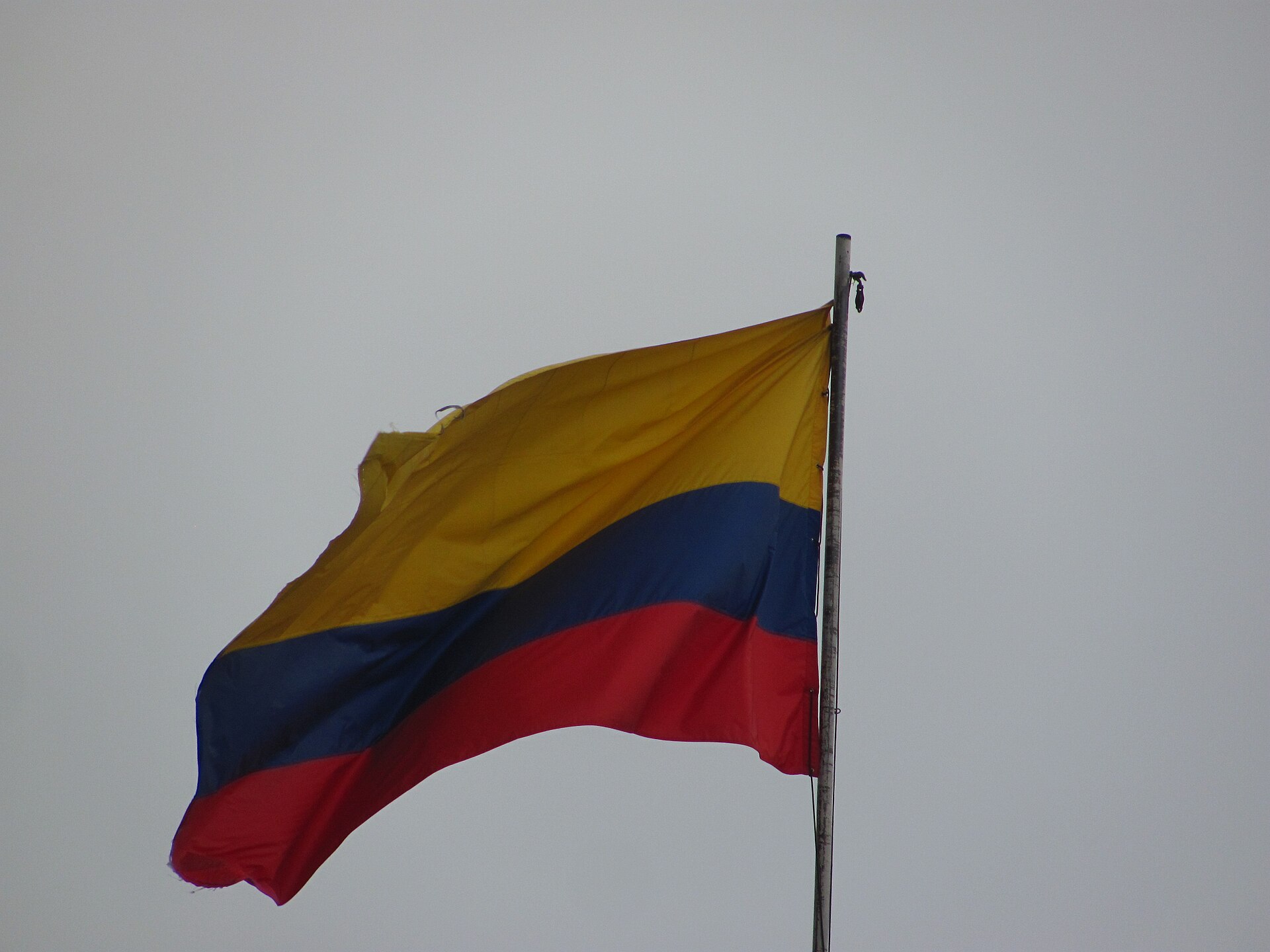 Colombia propone enfocar Misión de Verificación en reincorporación y s