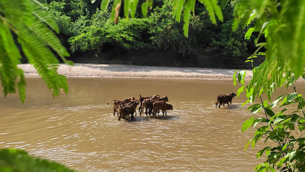 Corte Constitucional declaró exequible ley del río Ranchería en La Gua