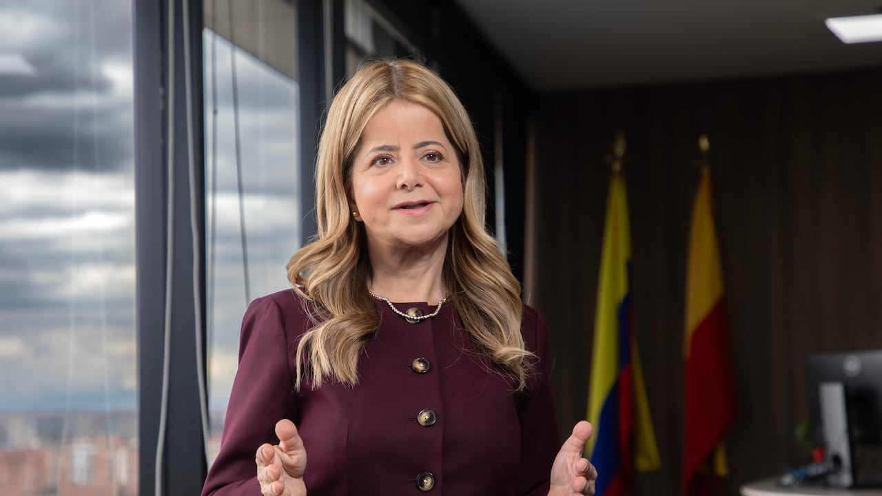 Elsa Noguera acepta revisar tiquetes aéreos caros entre ciudades