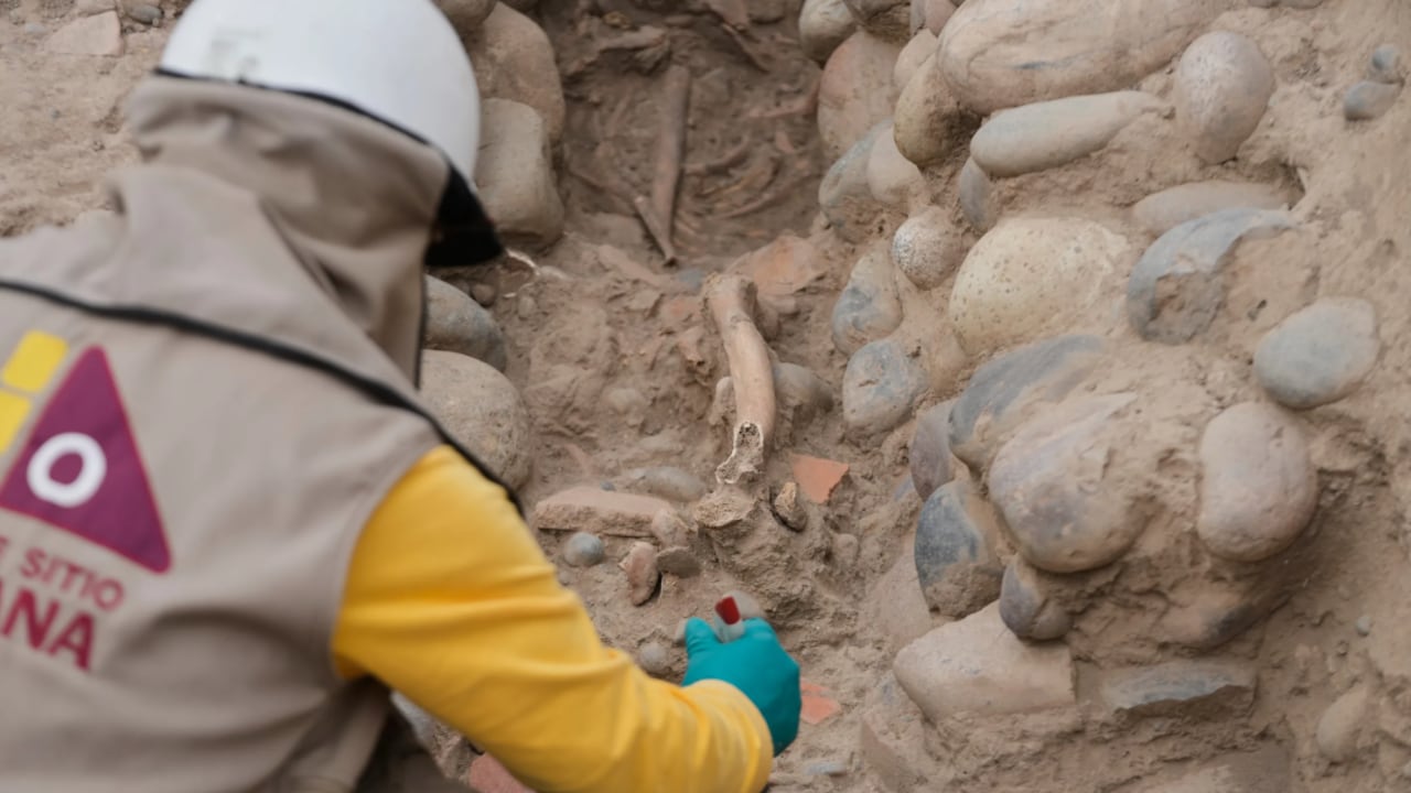 Hallan restos de un hombre enterrado como ofrenda en Huaca Pucllana, L