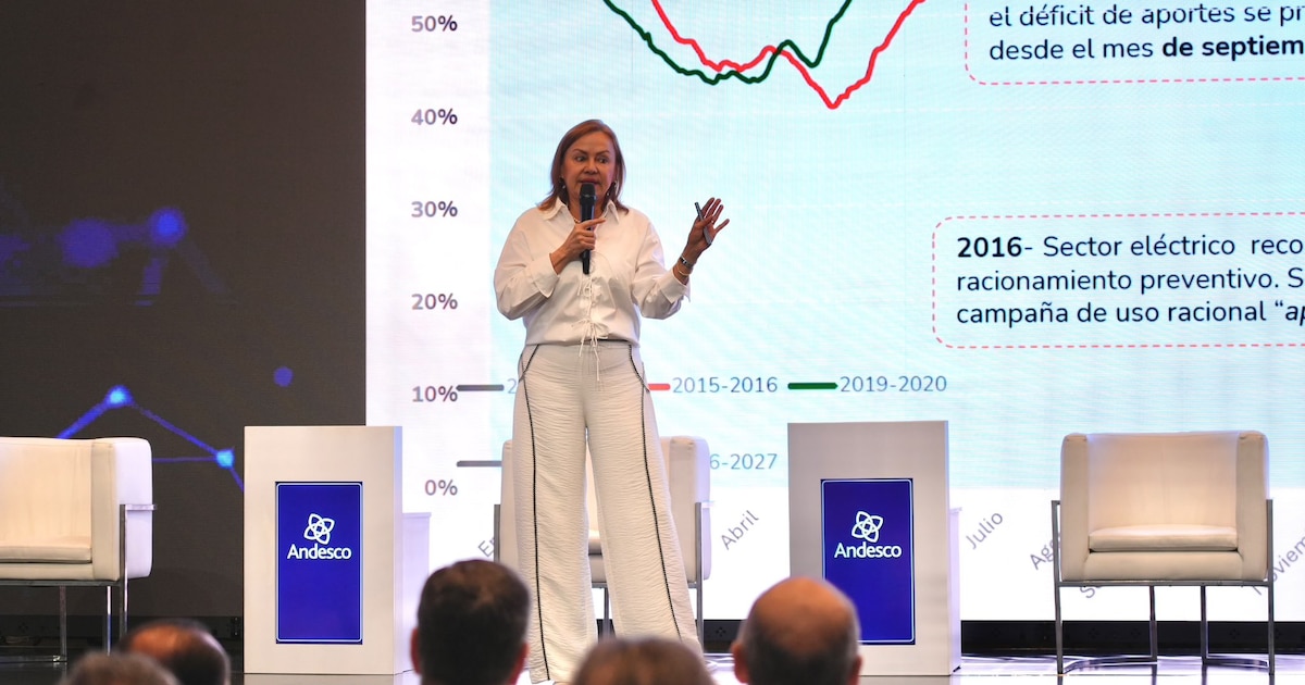 MinEnergía advierte que el sector energético tardaría tres a cuatro añ
