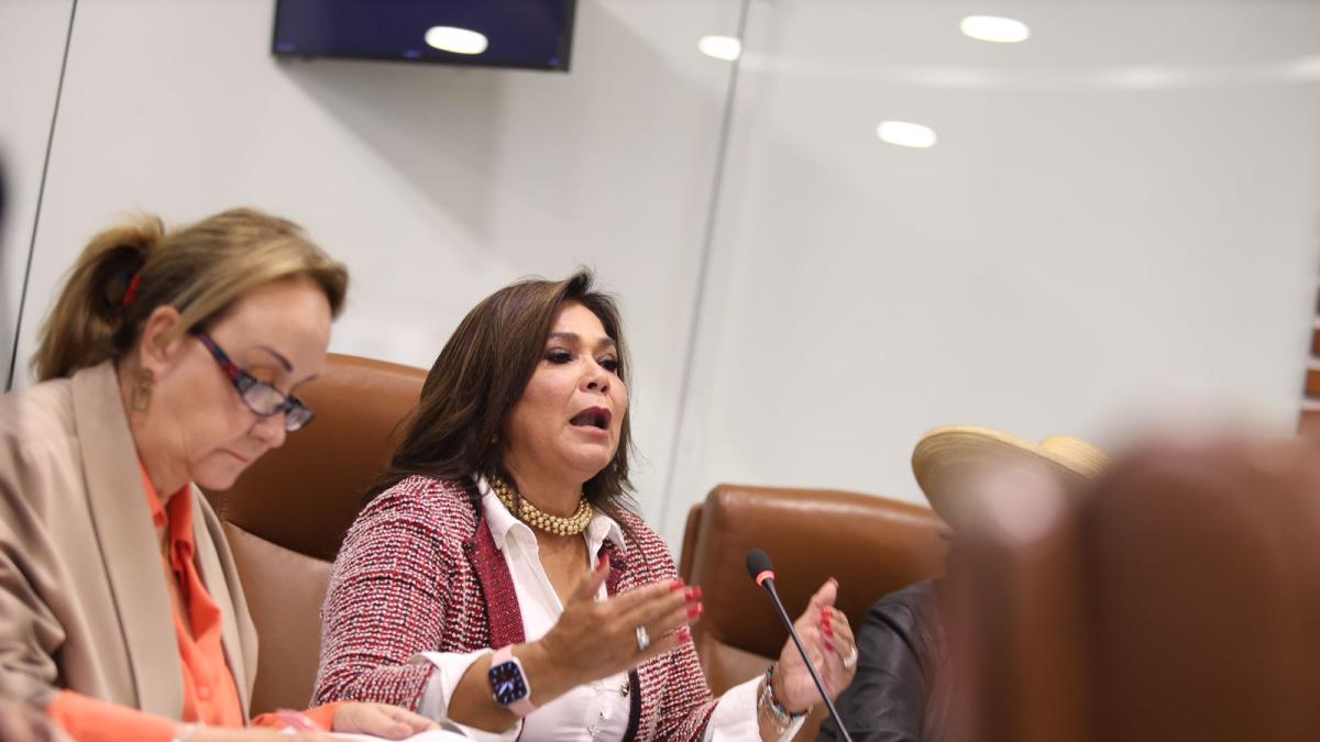 Partido Liberal respalda a Elizabeth Jay-Pang tras choque con De La Es