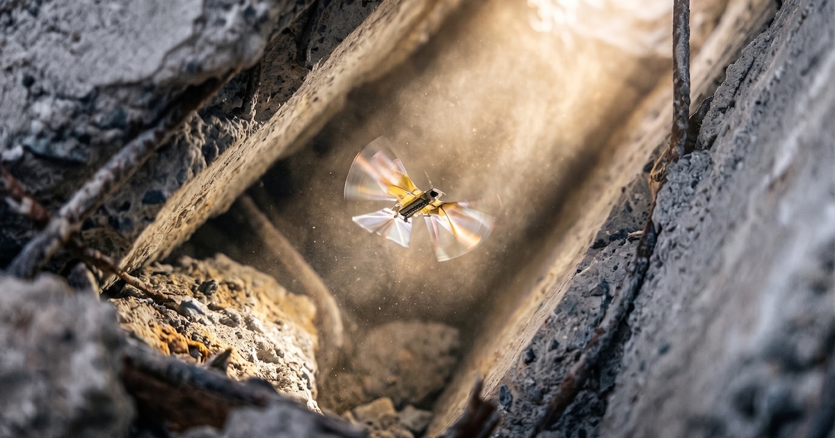 Desarrollan robot volador inspirado en insectos que resiste golpes