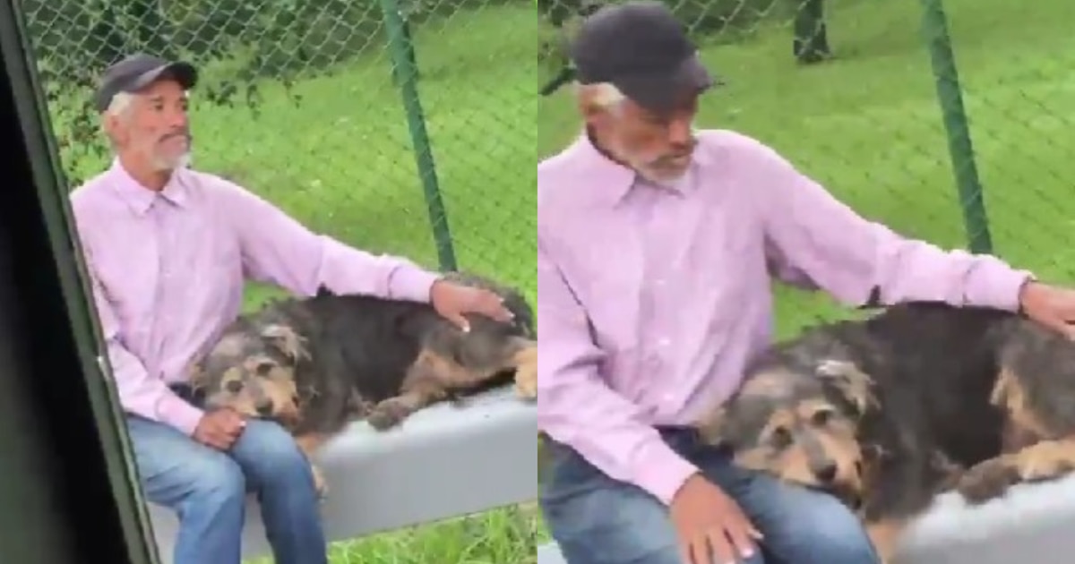 Transoriente pide disculpas por negar bus a adulto mayor con perro en 