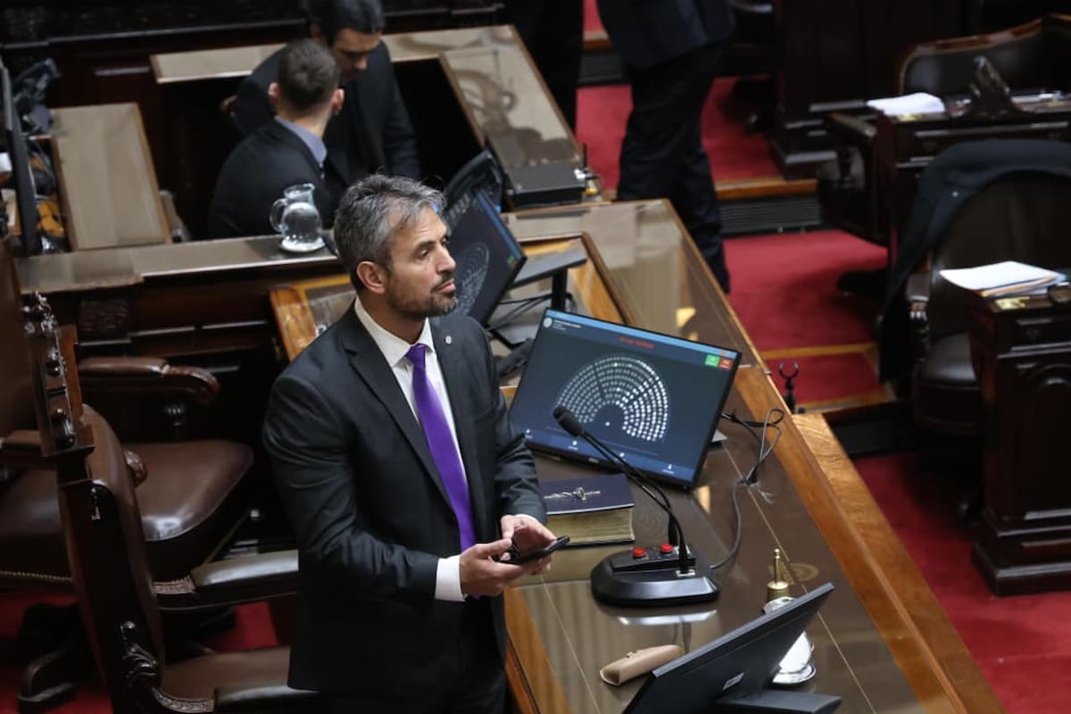 Argentina: el oficialismo negocia con aliados y la Iglesia antes de la sesión por discapacidad
