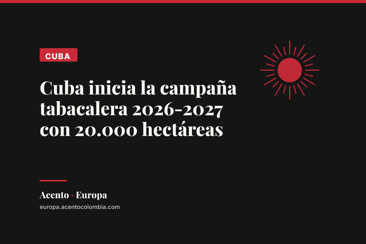 Cuba inicia la campaña tabacalera 2026-2027 con 20.000 hectáreas