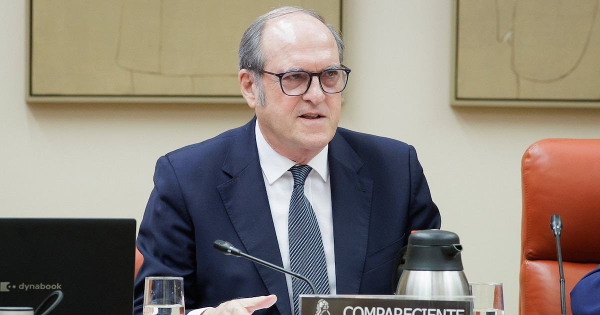 Defensor del Pueblo recurre al Constitucional para que nacionalizados por la ley de nietos voten en España