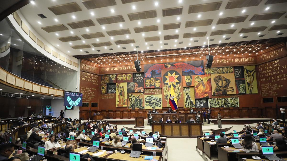 Ecuador castiga con cárcel los matrimonios forzados y la trata de personas