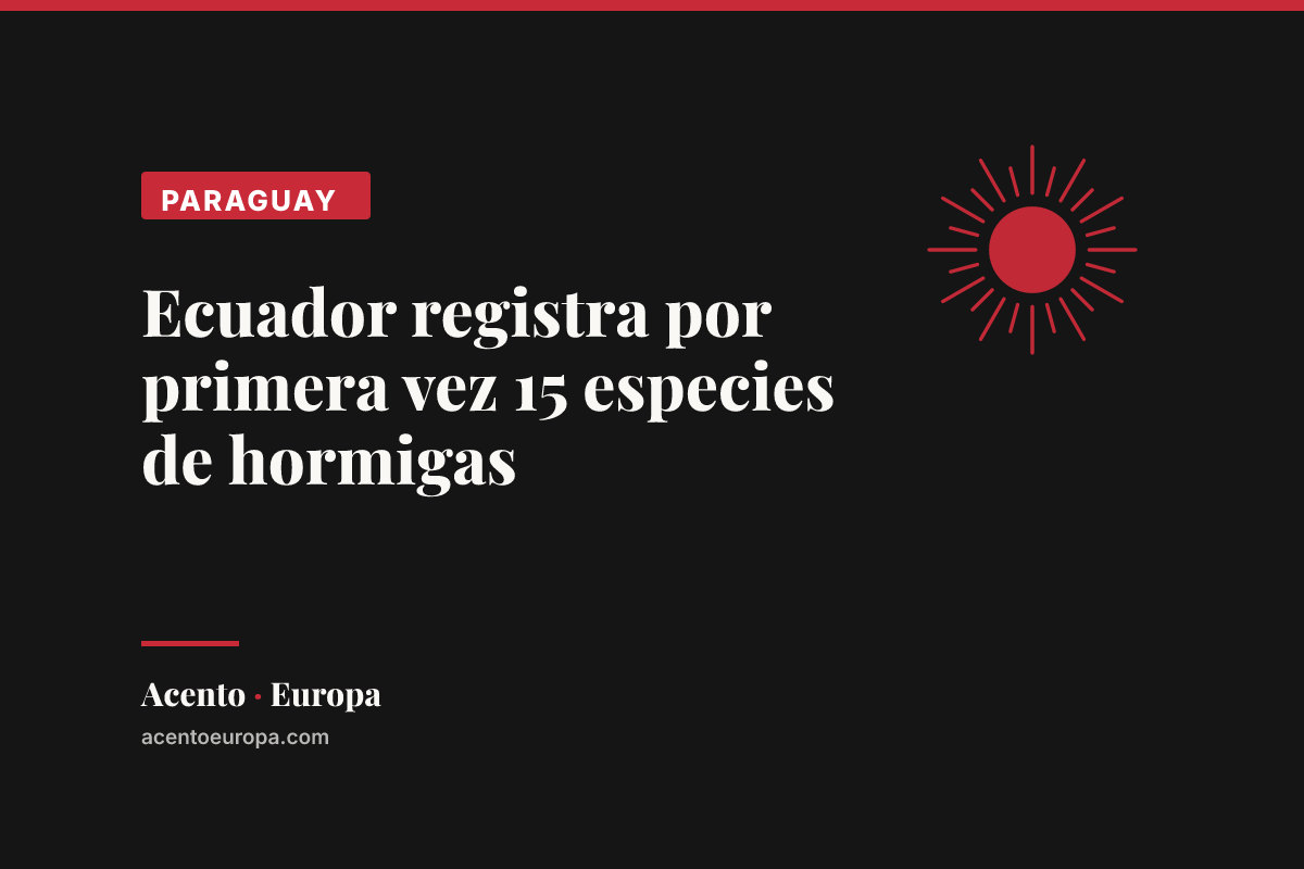 Ecuador registra por primera vez 15 especies de hormigas