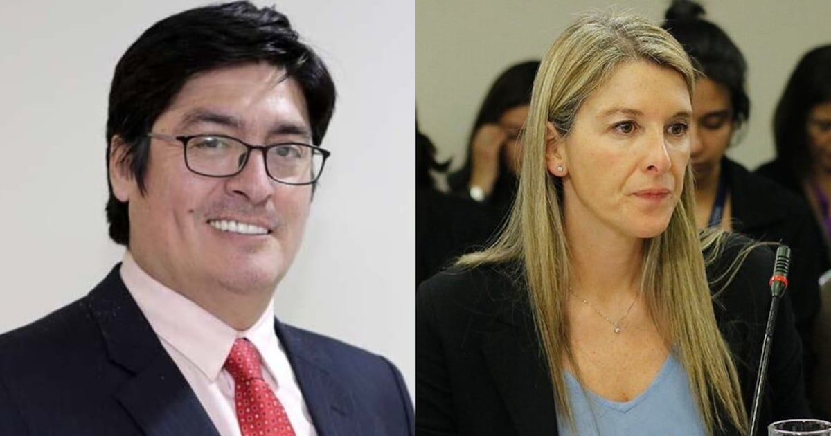 Gobierno de Chile propone a Sabat y Huichalaf para el directorio de TVN