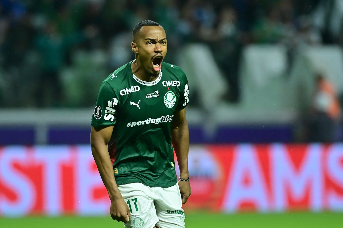 Palmeiras vence a Fluminense en penales y jugará la final de la Libertadores