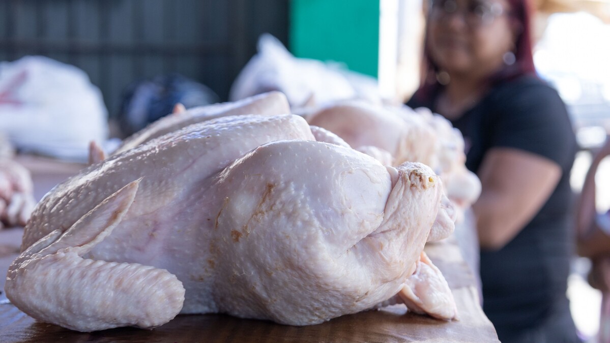 La libra de pollo se vende entre RD$70 y RD$85 en el Gran Santo Domingo