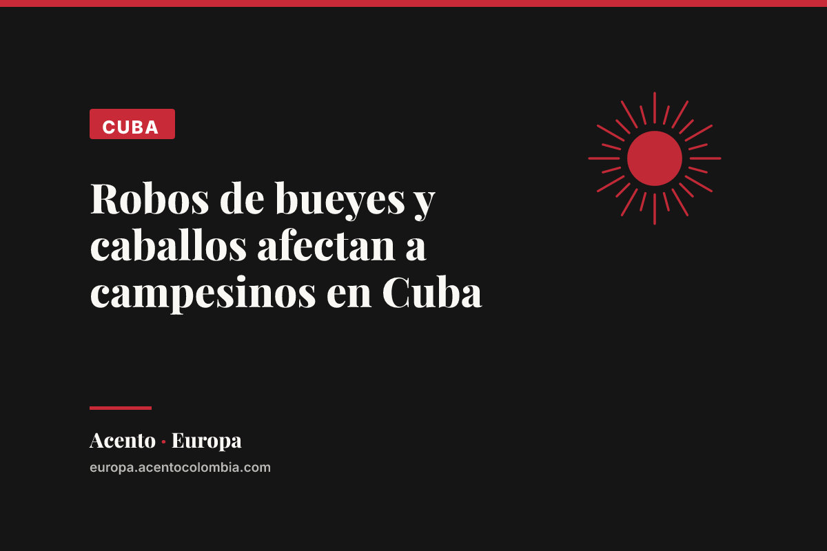 Robos de bueyes y caballos afectan a campesinos en Cuba