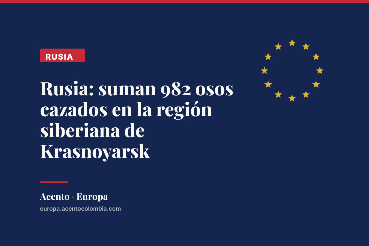 Rusia: suman 982 osos cazados en la región siberiana de Krasnoyarsk