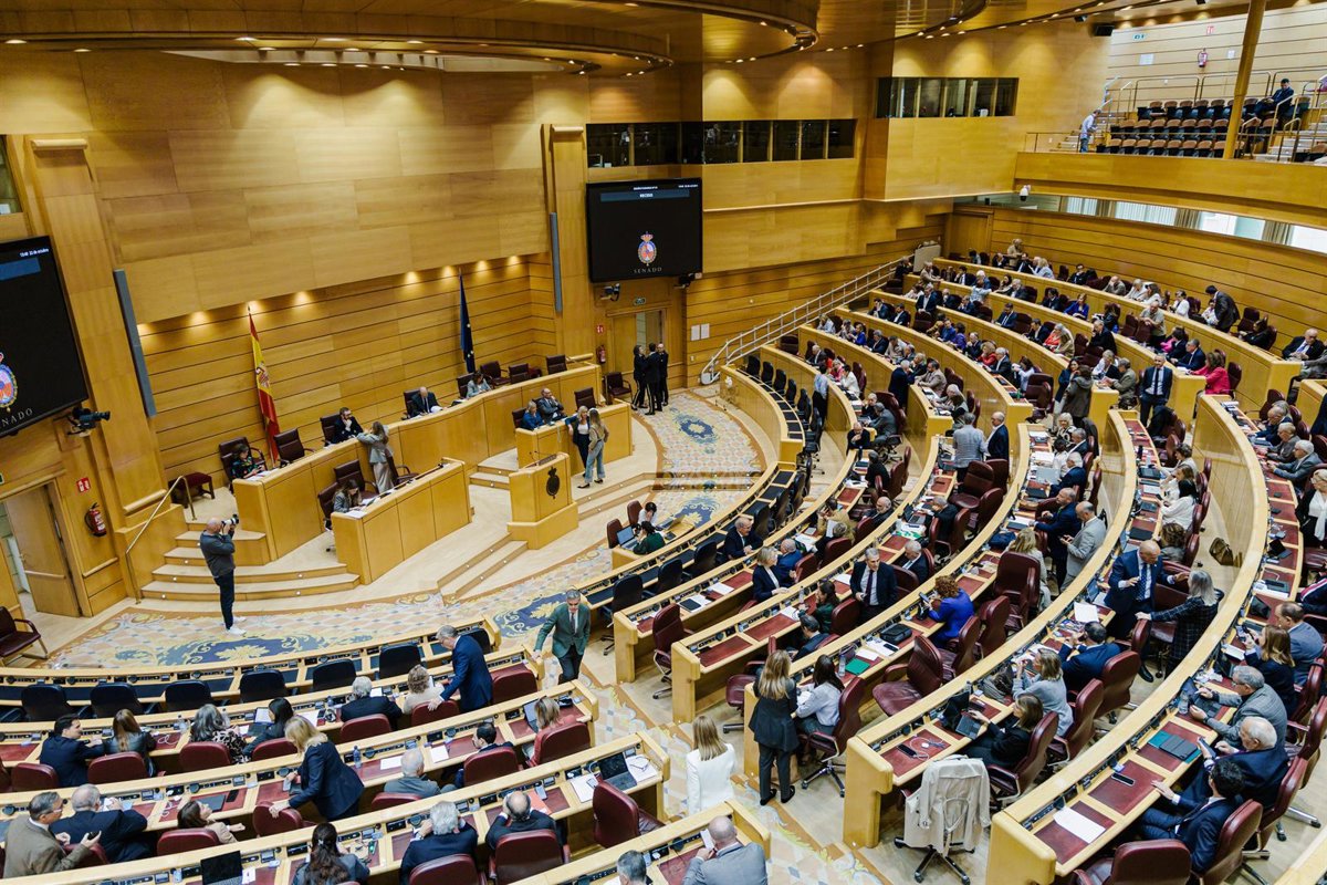 El Senado de España valora usar IA para traducir lenguas cooficiales