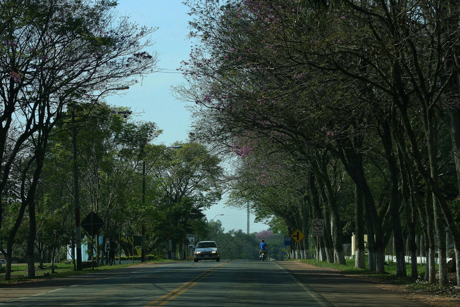 Vecinos de San Juan Bautista organizan colecta para familias inundadas