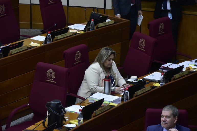 Zenaida Delgado niega cobros ilegales en Paraguay y anuncia denuncia penal